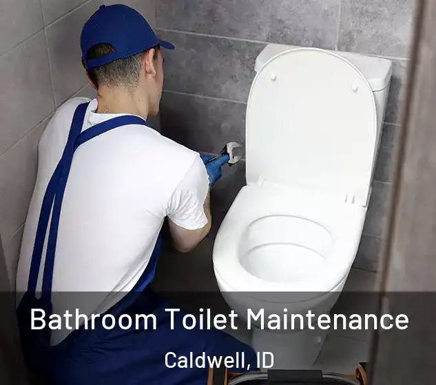  Bathroom Toilet Maintenance Caldwell, ID