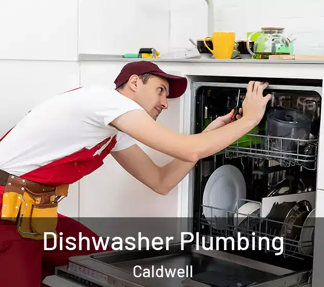  Dishwasher Plumbing Caldwell