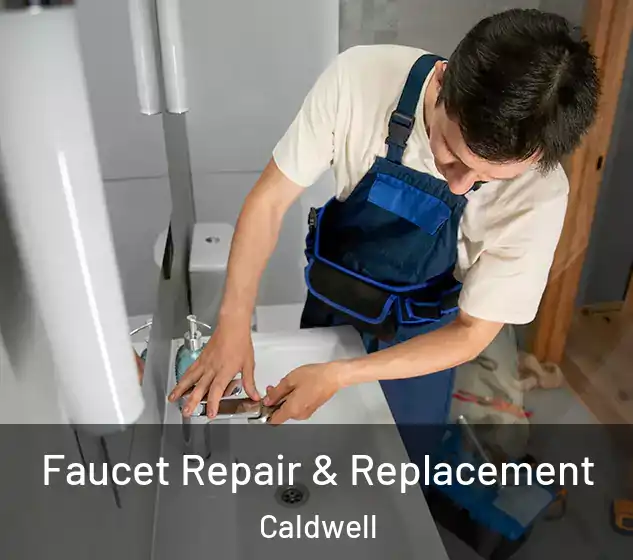  Faucet Repair & Replacement Caldwell