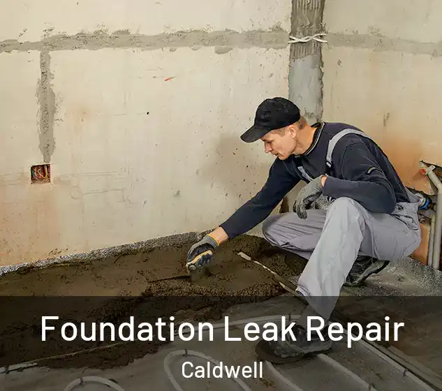  Foundation Leak Repair Caldwell