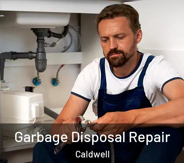  Garbage Disposal Repair Caldwell