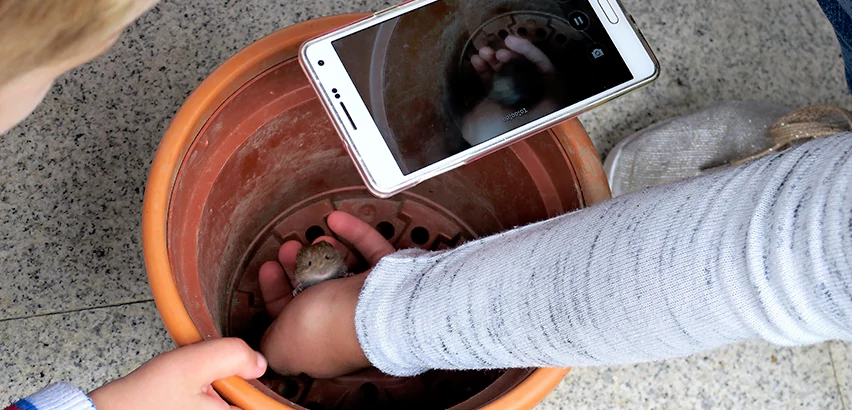 Scope of Drain Camera Inspection Services in Caldwell, ID