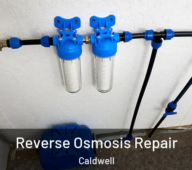  Reverse Osmosis Repair Caldwell