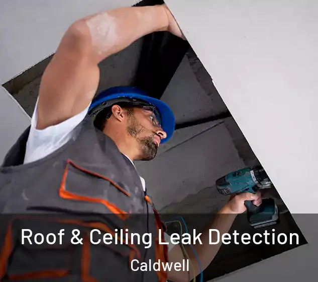  Roof & Ceiling Leak Detection Caldwell