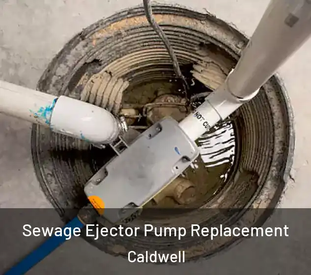  Sewage Ejector Pump Replacement Caldwell