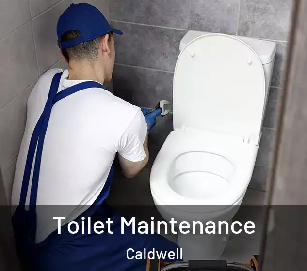  Toilet Maintenance Caldwell