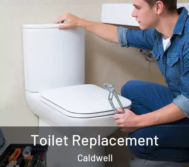  Toilet Replacement Caldwell