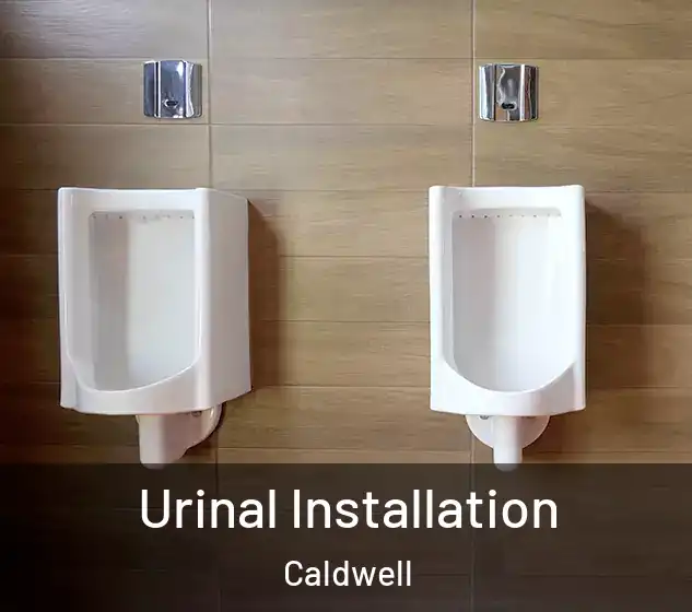  Urinal Installation Caldwell