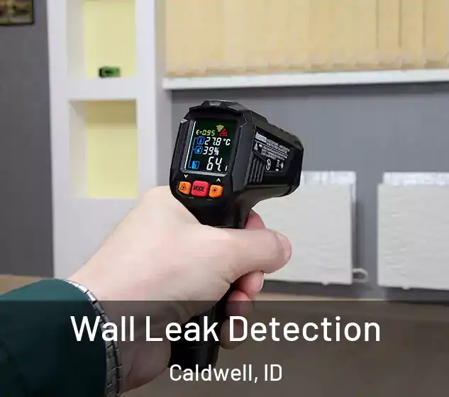  Wall Leak Detection Caldwell, ID