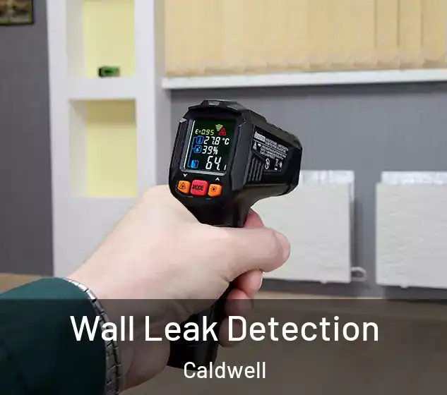  Wall Leak Detection Caldwell