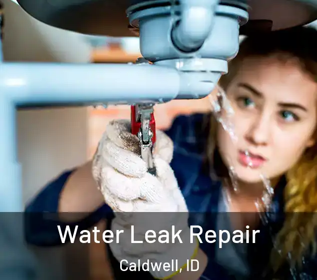  Water Leak Repair Caldwell, ID