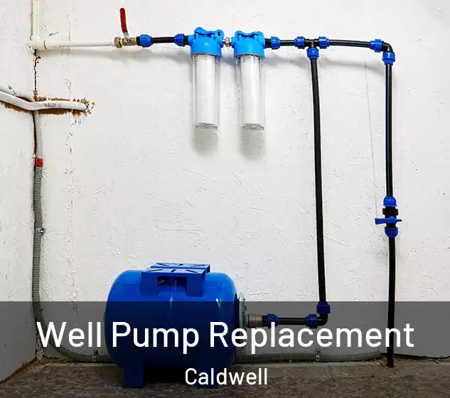  Well Pump Replacement Caldwell